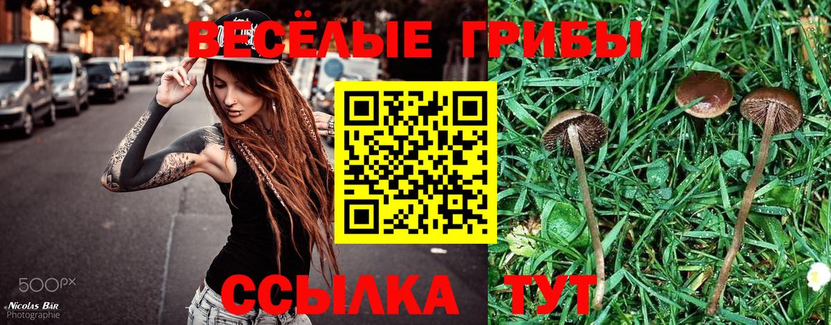 Галлюциногенные грибы ЛСД Михайловка
