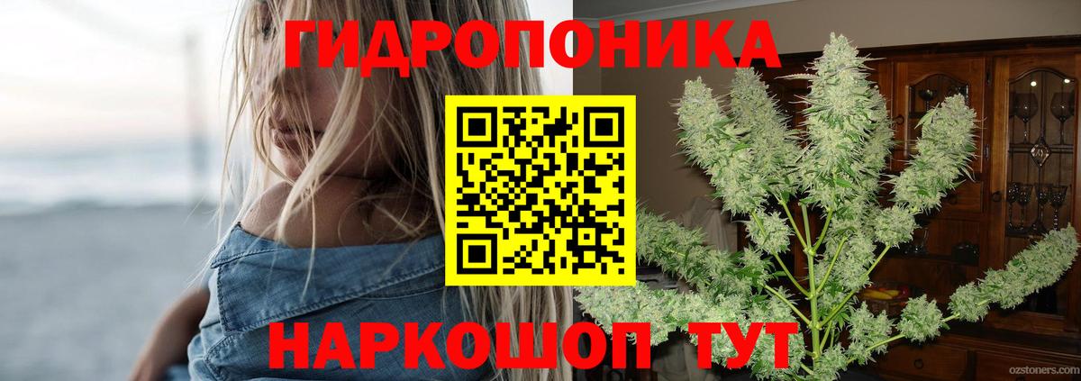 Бошки Шишки сатива Михайловка